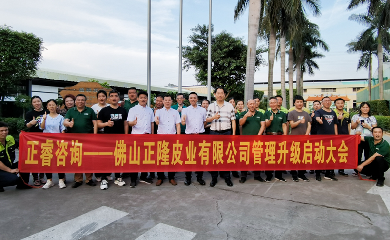 助力皮革行業(yè)再樹標(biāo)桿——正隆皮業(yè)全面管理升級(jí)項(xiàng)目啟動(dòng)！