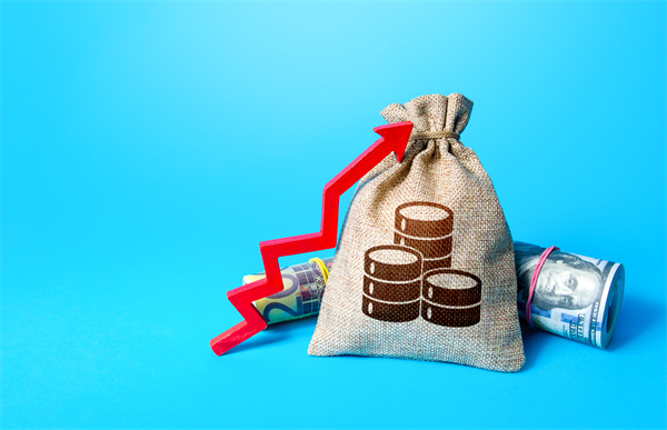 「預(yù)算管理咨詢」如何在不同階段制定不同的預(yù)算計(jì)劃？