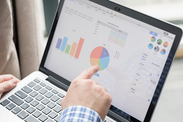 預(yù)算控制咨詢：協(xié)助企業(yè)建立控制體系，確保預(yù)算執(zhí)行