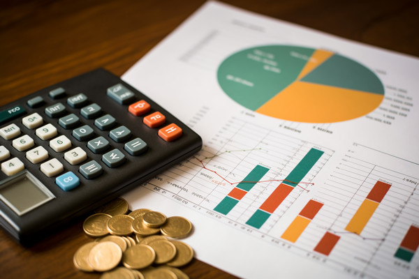 強化集團管控：財務(wù)，人力資源，信息技術(shù)的整合