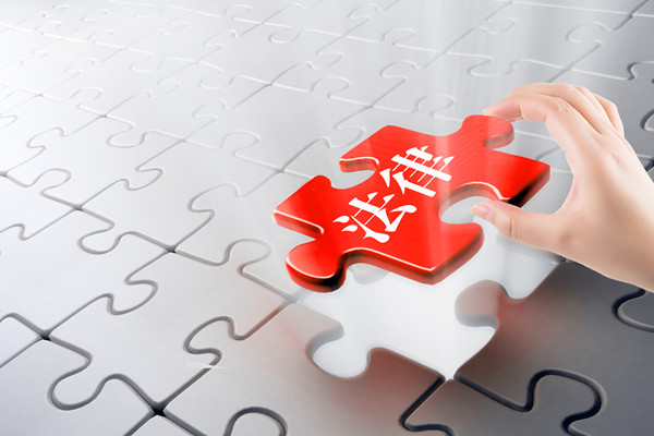 預(yù)算審計(jì)咨詢(xún)：指導(dǎo)企業(yè)開(kāi)展審計(jì)工作，確保預(yù)算合規(guī)