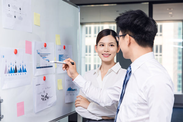 組織咨詢：協(xié)助企業(yè)制定組織發(fā)展戰(zhàn)略，推動(dòng)組織成長