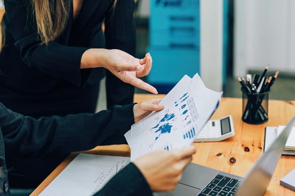 企業(yè)預(yù)算管理：打造財(cái)務(wù)穩(wěn)健，引領(lǐng)企業(yè)騰飛新篇章