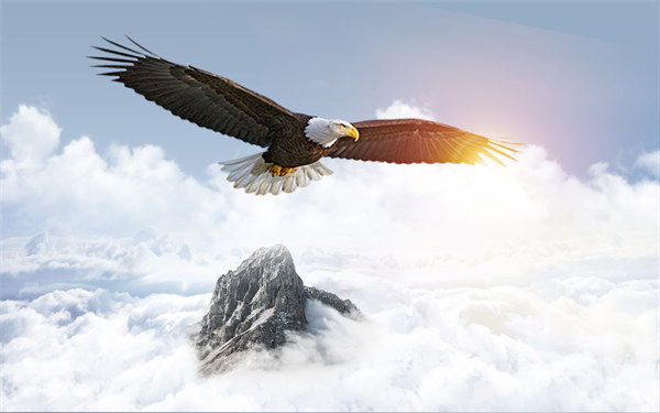 組織規(guī)劃引領(lǐng)企業(yè)變革，塑造全新管理模式與未來