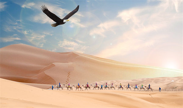 集團(tuán)管控升級迭代，激發(fā)企業(yè)活力，實現(xiàn)持續(xù)領(lǐng)先