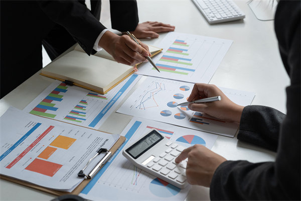 預(yù)算管理策略：優(yōu)化資源配置，提升企業(yè)財(cái)務(wù)效能