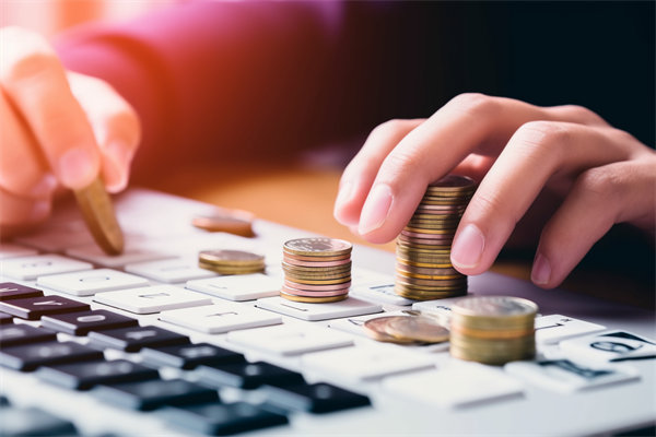 精細(xì)預(yù)算管理，助力企業(yè)騰飛：實現(xiàn)利潤最大化的秘訣