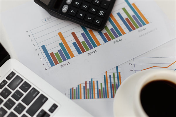 預(yù)算管理信息化建設(shè)：提升管理效率，降低管理成本