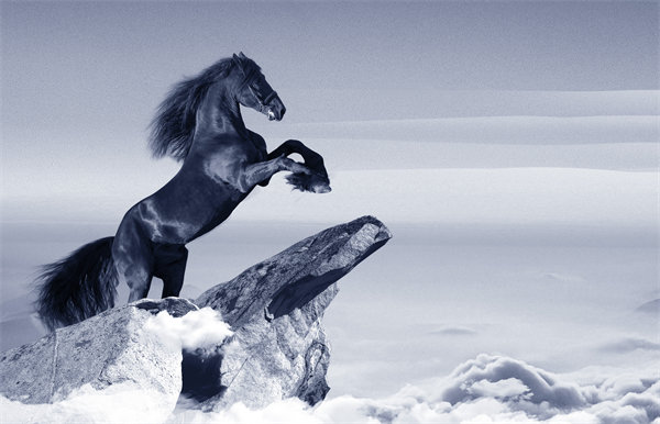 企業(yè)文化在企業(yè)管理中扮演何種角色，如何塑造？