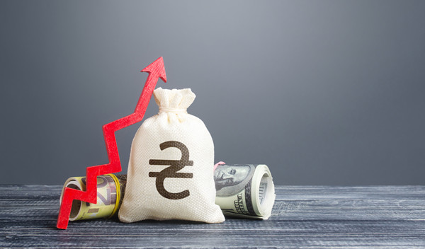 預(yù)算管理中的風險評估與應(yīng)對策略有哪些？