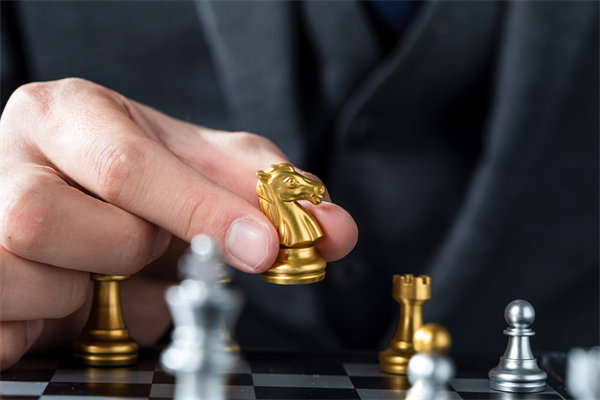 戰(zhàn)略咨詢，揭秘成功密碼，引領企業(yè)從優(yōu)秀走向卓越