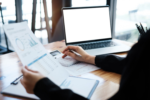 預(yù)算監(jiān)控與調(diào)整機(jī)制如何建立，確保預(yù)算執(zhí)行到位？