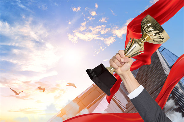 如何確保戰(zhàn)略規(guī)劃與企業(yè)文化及價值觀相契合？