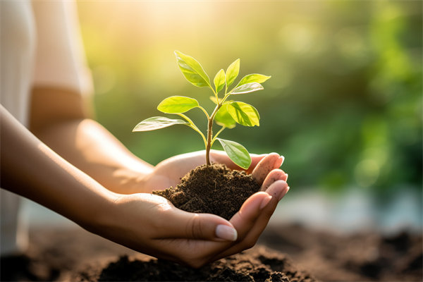 可持續(xù)發(fā)展成為趨勢(shì)，企業(yè)如何融入綠色戰(zhàn)略以促增長(zhǎng)？