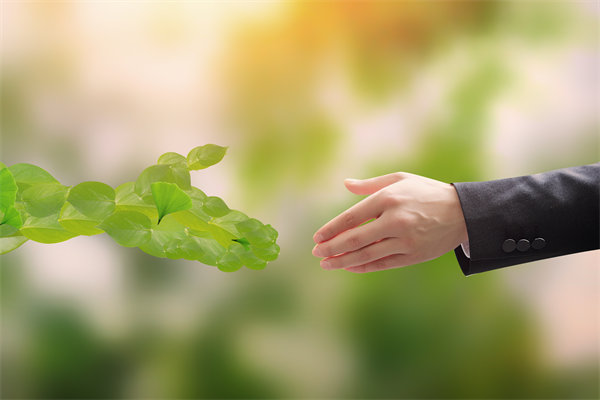 可持續(xù)發(fā)展成為趨勢，企業(yè)如何融入綠色戰(zhàn)略以促增長？