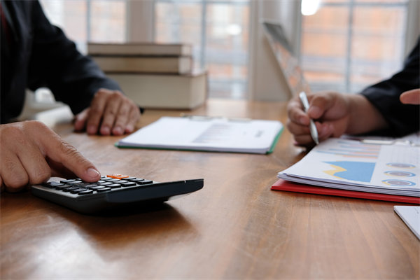 預(yù)算管理系統(tǒng)中，如何平衡自動化與人工審核的利弊？