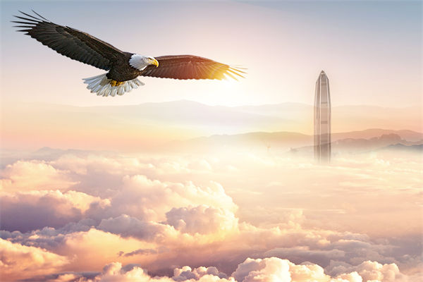 企業(yè)文化與企業(yè)管理如何協(xié)同，推動(dòng)企業(yè)持續(xù)發(fā)展？