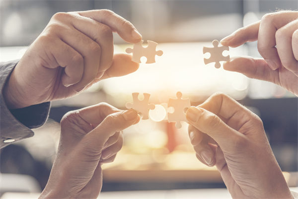 如何構建高效的集團管控體系，驅動企業(yè)穩(wěn)健前行？