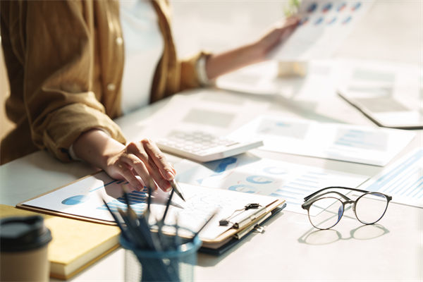 在預(yù)算執(zhí)行中，如何確保監(jiān)控與調(diào)整機(jī)制的有效性？