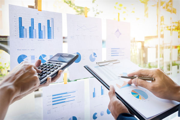 在預(yù)算執(zhí)行中，如何確保監(jiān)控與調(diào)整機制的有效性？