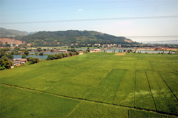 清遠(yuǎn)營銷咨詢公司如何精準(zhǔn)定位企業(yè)目標(biāo)市場？