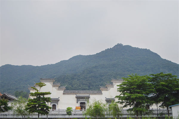 佛山組織規(guī)劃咨詢公司如何優(yōu)化企業(yè)人才梯隊建設(shè)？