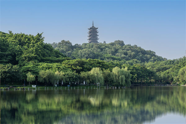 如何評估佛山集團管控咨詢公司的服務(wù)質(zhì)量和效果？