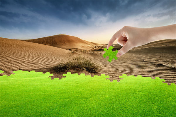 企業(yè)深陷困境，管理咨詢?nèi)绾我岳做侄未蚱瓢l(fā)展僵局？