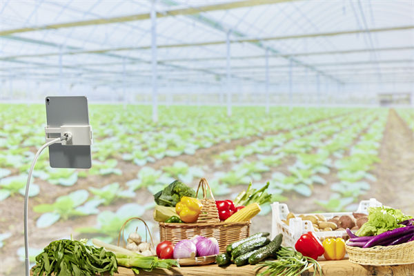 面對市場變化，您的營銷團隊是否足夠靈活應變？