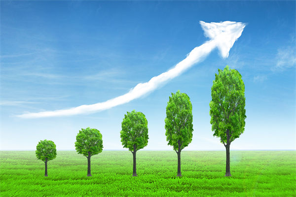 植樹就是植未來，對企業(yè)的戰(zhàn)略規(guī)劃有哪些啟示？