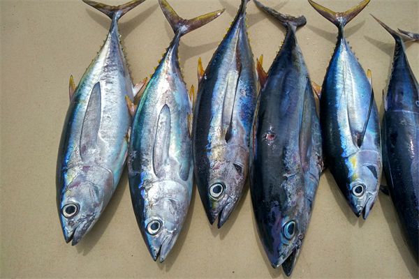 商務(wù)部：將幫助外貿(mào)企業(yè)擴(kuò)寬內(nèi)銷渠道，政策解讀！