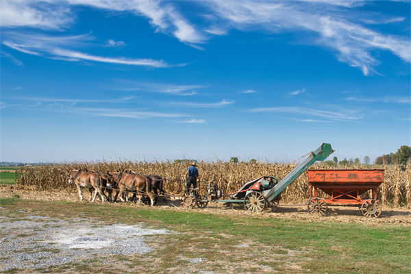 從績效管理角度分析：中國買巴西大豆讓美國農民慌了