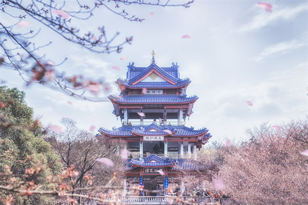 供應(yīng)鏈成本居高不下，無(wú)錫供應(yīng)鏈咨詢公司如何精準(zhǔn)砍出利潤(rùn)空間？