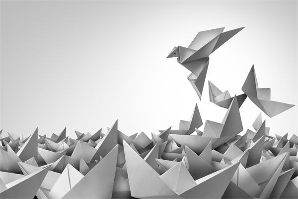 變革期文化斷層，如何用管理體系凝聚團隊共識？