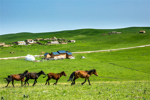 飛新疆的機票價格漲爆了，什么情況？是營銷炒作？