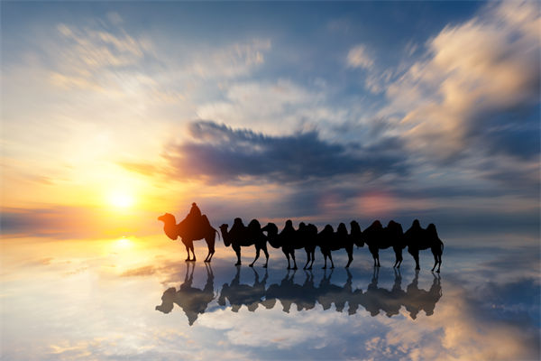 戰(zhàn)略與文化脫節(jié)，企業(yè)理念如何落地支撐發(fā)展？