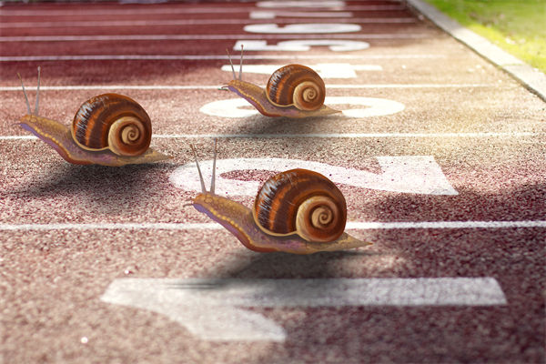 新業(yè)務(wù)拓展艱難，年度經(jīng)營(yíng)計(jì)劃為其定制專(zhuān)屬發(fā)展路徑