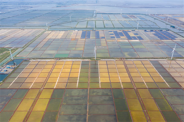 濰坊制造業(yè)招工難留人更難，濰坊人力資源咨詢公司如何破局用工困局？