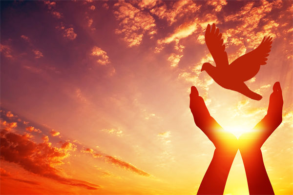 別讓盲卡盲盒“收割”孩子，關(guān)聯(lián)企業(yè)戰(zhàn)略怎么看？