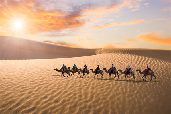 企業(yè)文化管理失效？這三大認(rèn)知誤區(qū)為何拖垮團(tuán)隊(duì)？