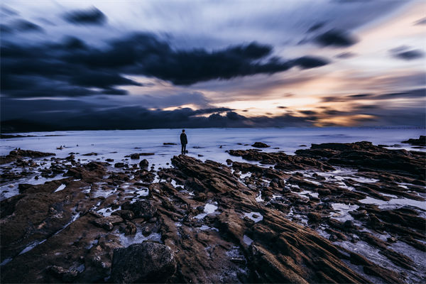 集團管控體系日趨完善，子公司市場應變力為何變弱？