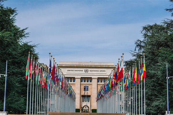 英法等25國發(fā)表聯(lián)合聲明，企業(yè)組織規(guī)劃有何啟示？