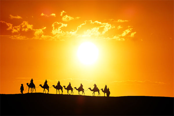 高層標(biāo)榜的企業(yè)文化，如何穿透形式真正落地生根？