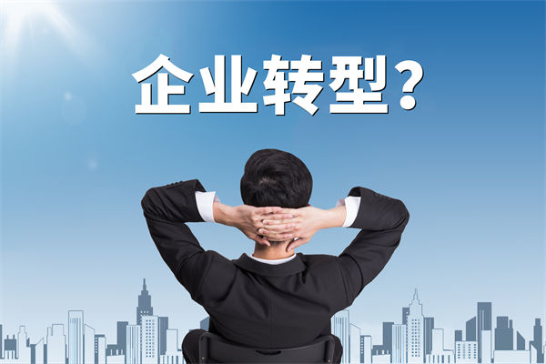 企業(yè)轉(zhuǎn)型無方向，數(shù)智化咨詢公司能否指引明路？