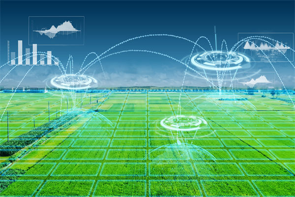 溫州種出2.1米高巨型水稻，精益生產(chǎn)怎么看？