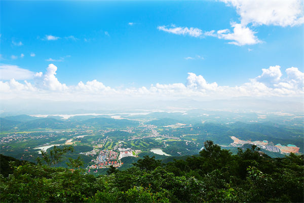 企業(yè)戰(zhàn)略飄在半空落地難，惠州戰(zhàn)略咨詢公司能錨定方向嗎？