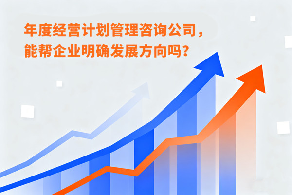 年度經(jīng)營(yíng)計(jì)劃管理咨詢公司，能幫企業(yè)明確發(fā)展方向嗎？