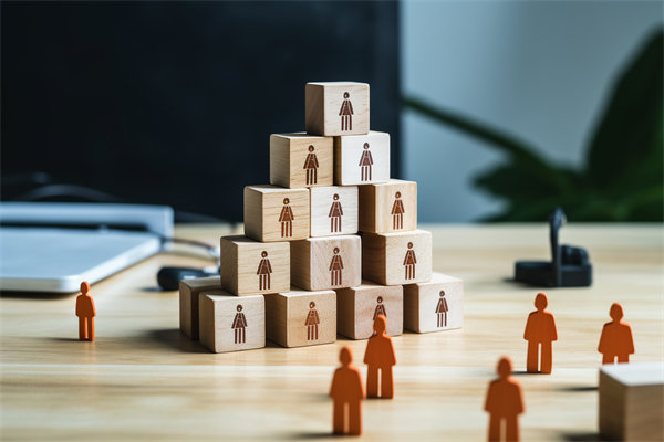 人力資源咨詢公司哪家好，適配企業(yè)戰(zhàn)略搭人才梯隊的