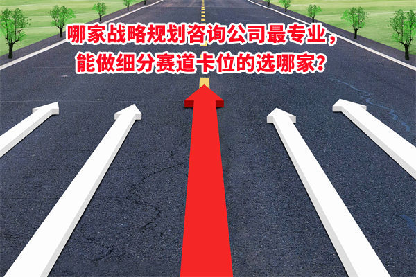 哪家戰(zhàn)略規(guī)劃咨詢公司最專業(yè)，能做細(xì)分賽道卡位的選哪家？